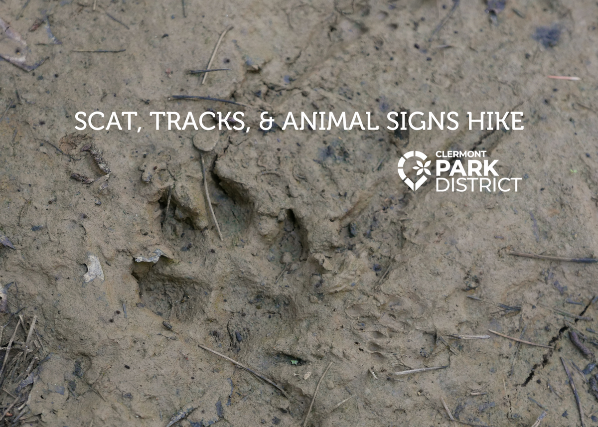 coyote track in mud with white text that says "scat, tracks, and animal signs" in white letters
